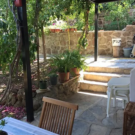 Bougainvilleas * Akyarlar